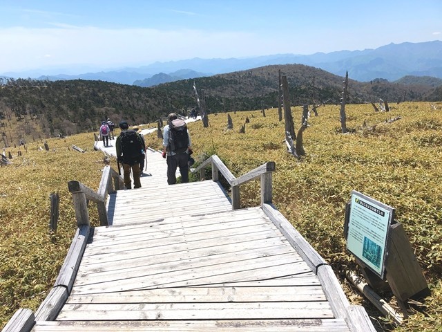 大台ヶ原登山道と階段、木道と尾鷲辻までのルートの詳細