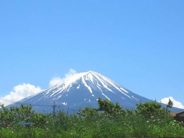 綺麗な富士山