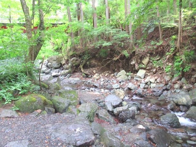 椿荘オートキャンプ場の川