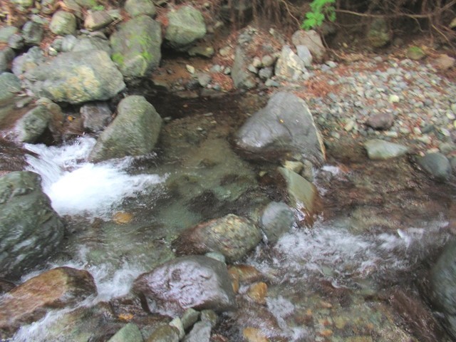 椿荘オートキャンプ場の川は水深が深くないので小さいお子さんも川遊びが出来る