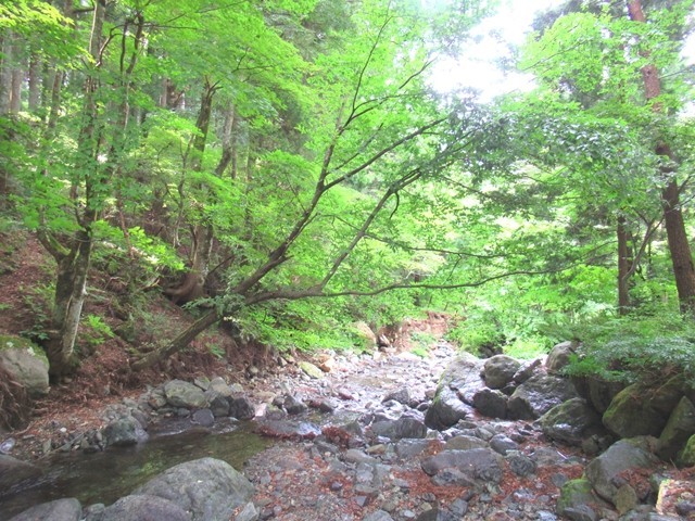 川沿いの雰囲気の良い景色