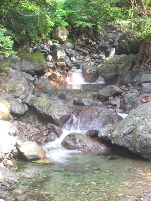テント場から見れる沢が綺麗で癒される