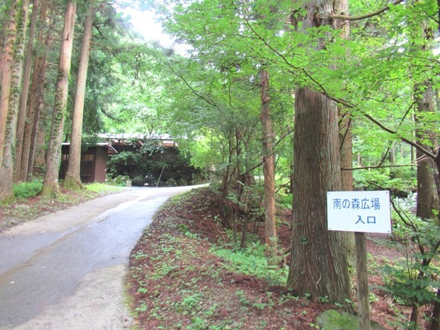 椿荘オートキャンプ場のテントサイト南の広場と西の広場の近く