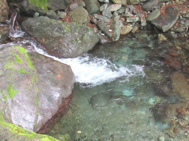 椿荘オートキャンプ場の川の流れ