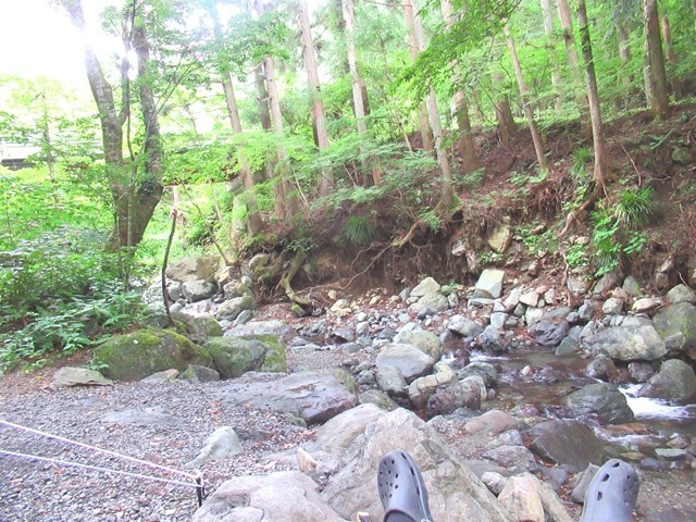 、川沿いでボ～～～としている様子