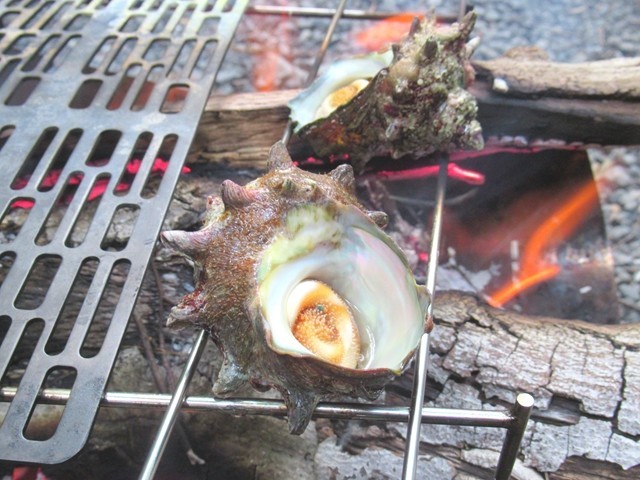 キャンプでサザエを調理