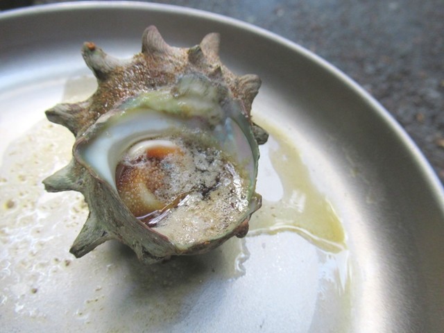 キャンプ飯でサザエ