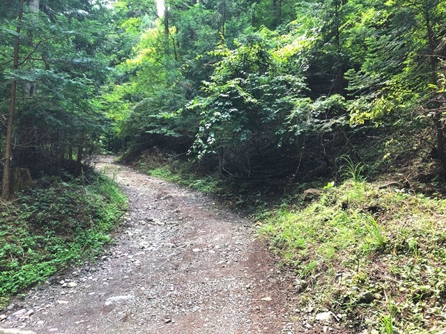 て椿荘オートキャンプ場行方不明が進んでしまった林道