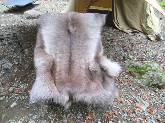 トナカイ ラグ 毛皮 天然物 本毛皮 リアルファー キャンプ 野営 武骨 ORCOMPRODUCTS】reindeer rug(トナカイのラグ) | OUTDOOR BASE