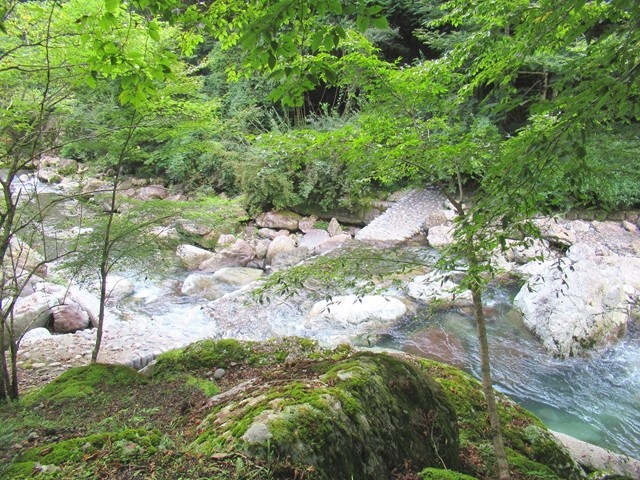 テントサイトからの福士川の景色