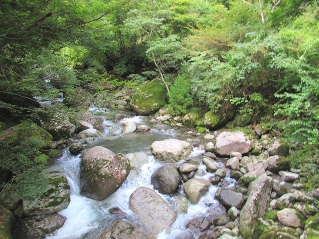 奥山温泉キャンプ場周辺の福士川様子