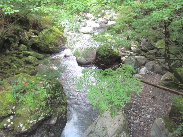 奥山温泉キャンプ場周辺紅葉の名所