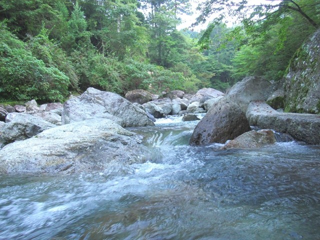福士川朝の様子