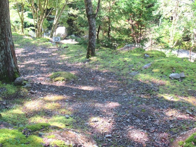 奥山温泉のDサイト