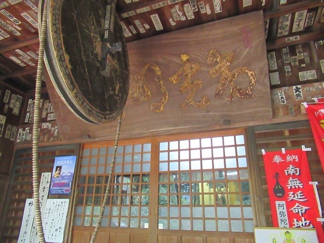 阿弥陀寺はアジサイ寺