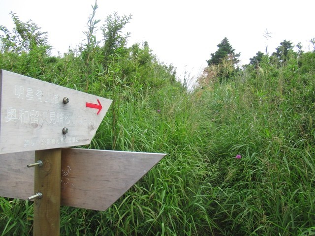 金時山登山コース奥和留ルートの入口分岐