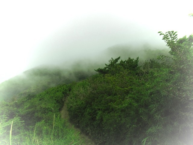 箱根外輪山登山コースの天気