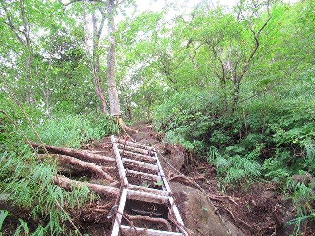 金時山登山コース復旧の様子