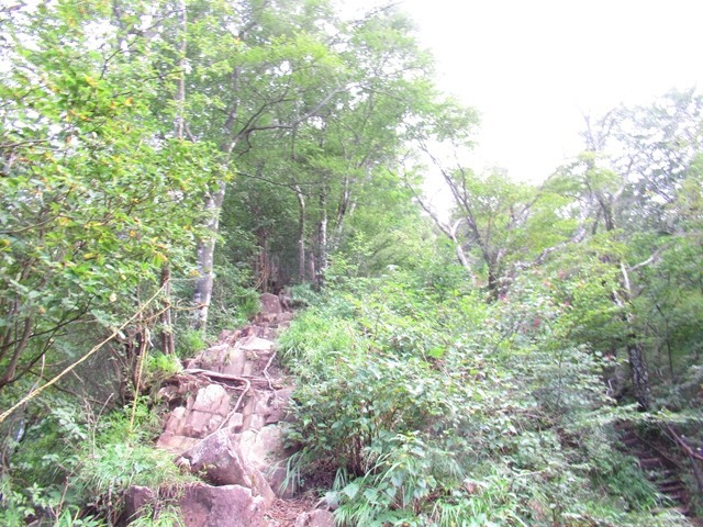 金時山登山道通行止めの様子