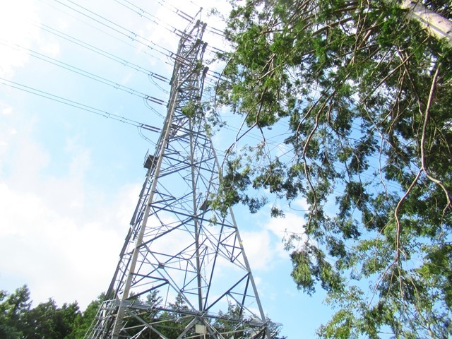 頼光対面の滝・銚子ヶ淵へルート上に鉄塔がある