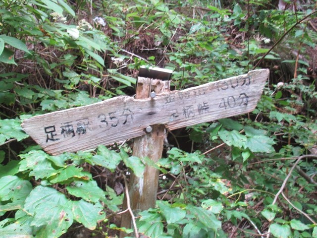 頼光対面の滝・銚子ヶ淵と足柄峠分岐