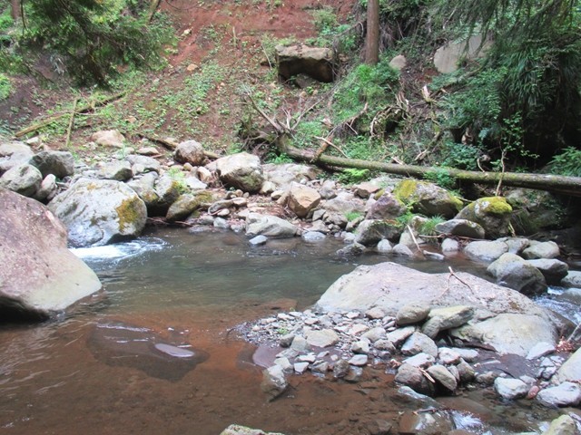 虎御前入口周辺の水辺