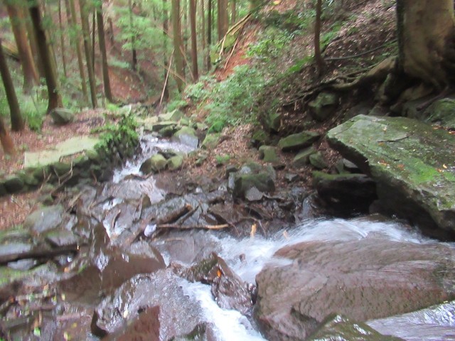 頼光対面の滝の沢の様子