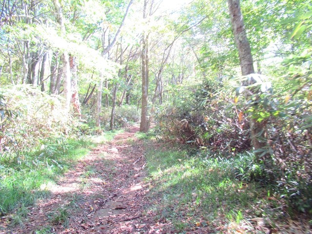 瑪瑙山の登山口の林道