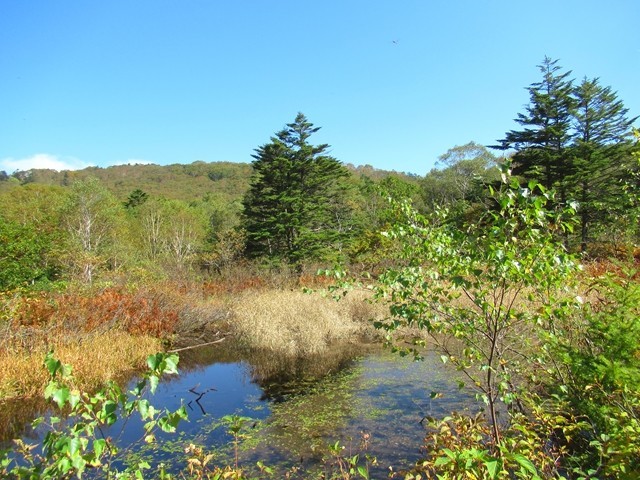 瑪瑙山の池