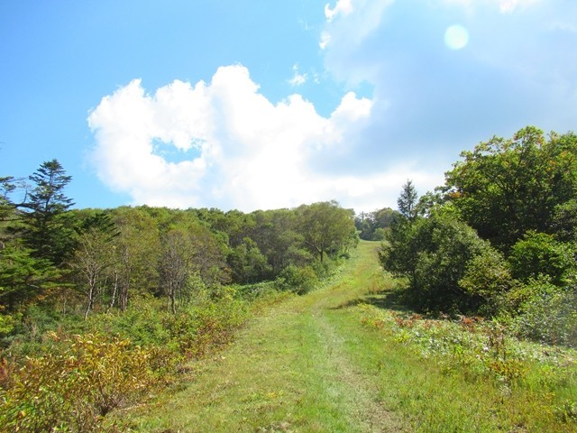 瑪瑙山スキー場の様子