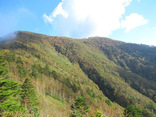 飯縄山までの登山コースの様子