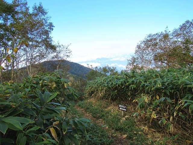 飯縄山と霊仙寺山分岐