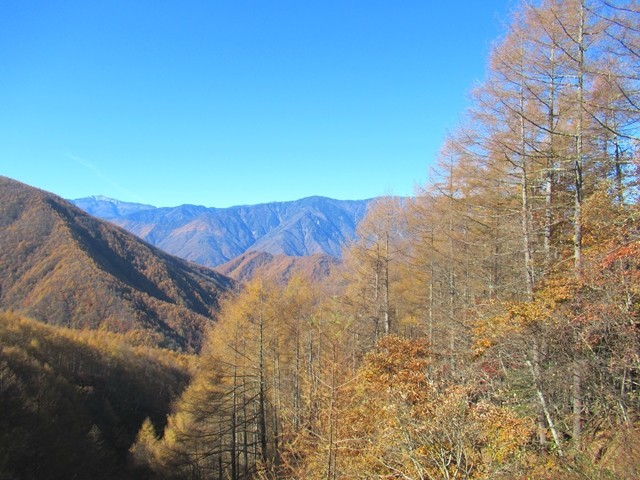 源氏山登山中の景色