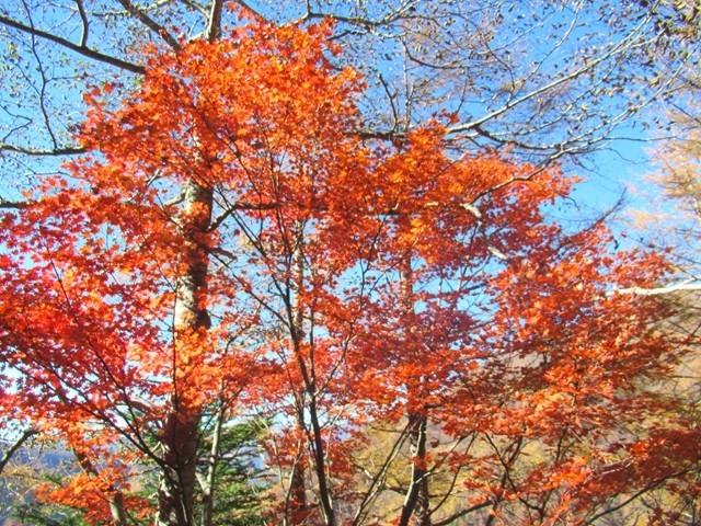 源氏山の登山口まで長い林道歩きの様子