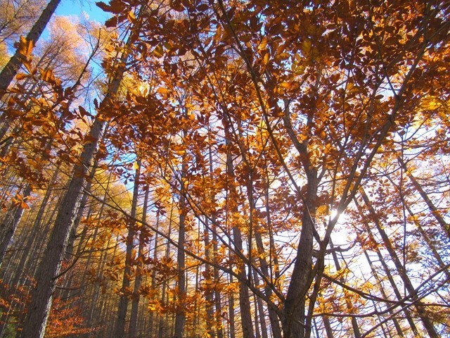 源氏山の登山口急斜面