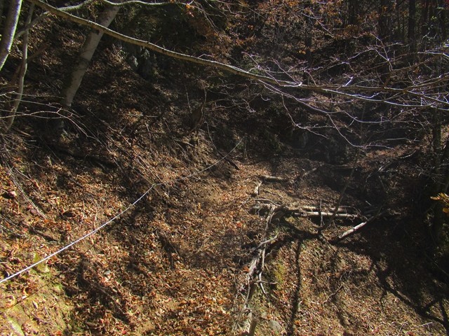 源氏山の登山道の整備状況