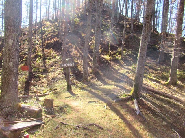 源氏山・大峠山分岐