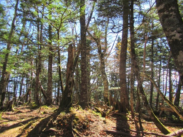 源氏山山頂の様子