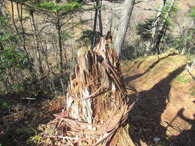 源氏山の山頂から下山の様子