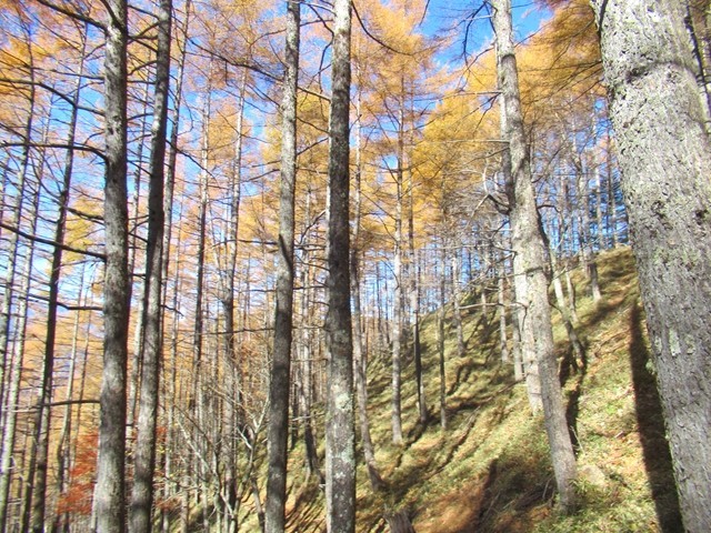 源氏山の登山ルート