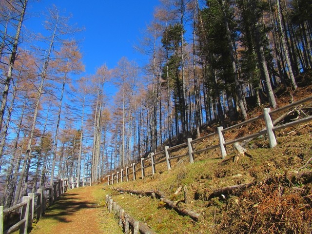 櫛形山トレッキングコースに合流