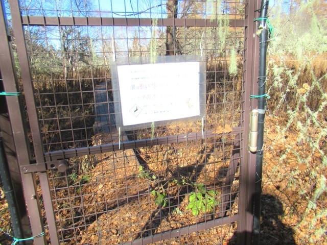 櫛形山トレッキングコースにある柵