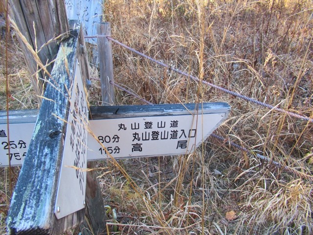 あやめ平避難小屋から北尾根を使って伊那ヶ湖駐車場へ下山の様子