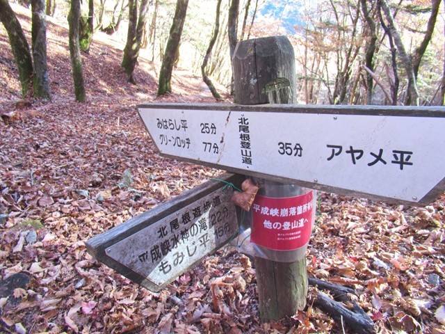 あやめ平避難小屋北尾根を下って行くともみじ平との分岐