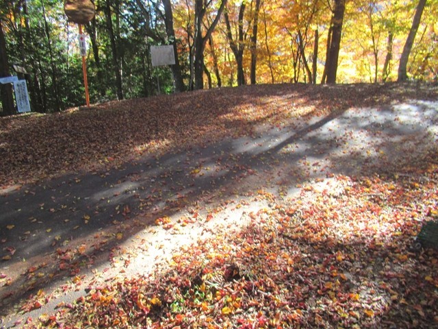 北尾根の林道と交差地点