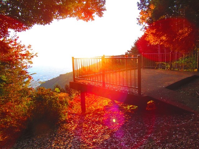 前日夜景を見た場所から日の出