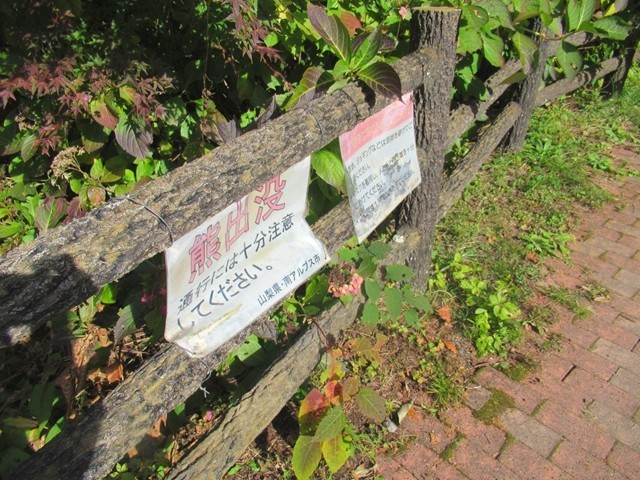 県民の森グリーンロッジキャンプ場周辺もツキノワグマ生息域