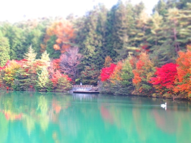 南伊那ヶ湖の紅葉の様子