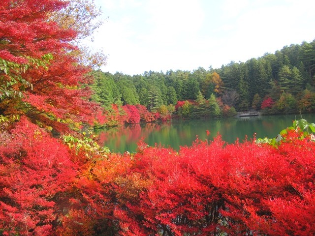 伊那ヶ湖は紅葉がとても綺麗