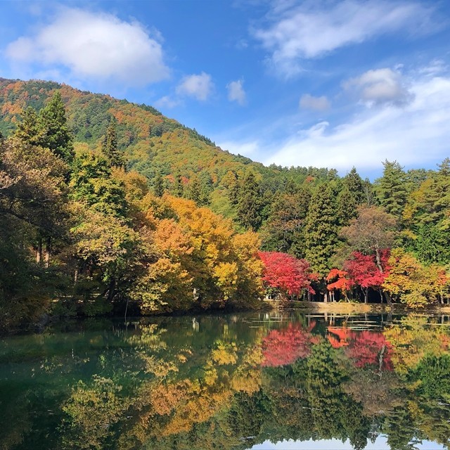 美しい北伊那ヶ湖畔の紅葉